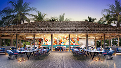 The Elephant and The Butterfly™ 